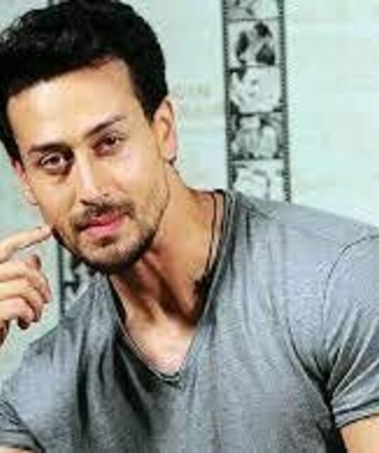 avatar Tiger Shroff Net Worth